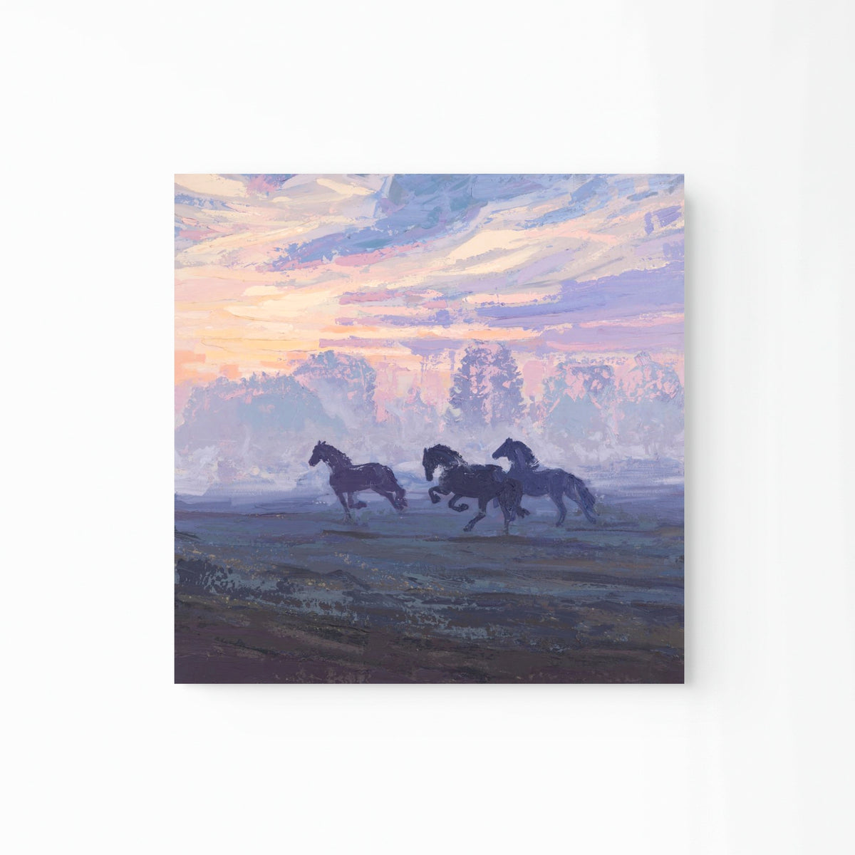 Friesians
