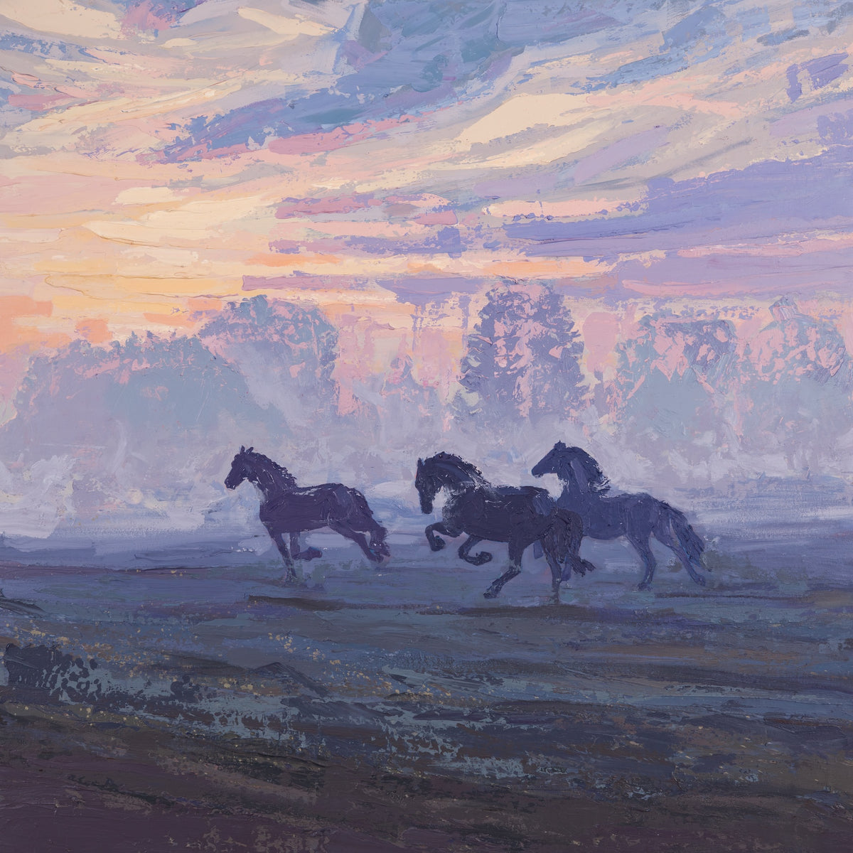 Friesians